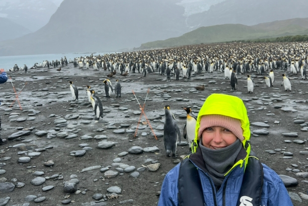 JLW Penguins